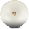 купить Мяч LivePro LP9005/65/WH Exercise Ball 65cm в Кишинёве 