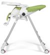 купить Стульчик для кормления Peg Perego Prima Pappa Follow Me Wonder Green в Кишинёве 