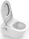 купить Унитаз Nomi Smart Е412-W Tornado, микролифт быстросъемное UF в Кишинёве 