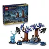 cumpără Set de construcție Lego 76475 Forbidden Forest Expecto Patronum în Chișinău 