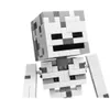 cumpără Set de construcție Lego 21594 The Skeleton în Chișinău 