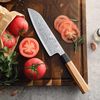 cumpără Cuțit Takumi Hoshibito Santoku Knife (TK-PM8O-RS) în Chișinău 