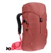 cumpără Rucsac turistic Deuter Climber 22 redwood-hibiscus în Chișinău 
