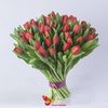 Красные голландские тюльпаны поштучно