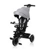 cumpără Bicicletă-cărucior Lionelo Berry Grey Stone în Chișinău 