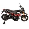 купить Электромобиль Golden Baby A007 Motocicleta electrica Aprilia, rosie, GB2212 в Кишинёве 