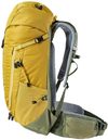 купить Рюкзак спортивный Deuter Trail 30 turmeric-khaki в Кишинёве 