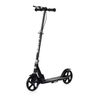 cumpără Trotinetă Chipolino DSSWI0261BK Swift black до 100кг în Chișinău 