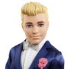 cumpără Păpușă Barbie K-GTF36 Păpușa Ken Mirele de Zînă cu accesorii în Chișinău 