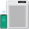 купить Очиститель воздуха EvoAir HOMI P300, CADR 300m³/h, WI-FI, Filtru True Hepa в Кишинёве 