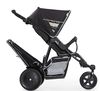 купить Детская коляска Hauck Carucior pentru 2 copii Freerider SH12 Black в Кишинёве 