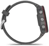 купить Смарт часы Garmin Forerunner 255 Slate Grey (010-02641-10) в Кишинёве 