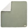 купить Детское постельное белье Premaman PCIAQS-VEM-UNQ Cuvertura dubla Verde, 80x80cm в Кишинёве 