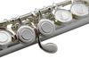 cumpără Instrument muzical de suflat Clifton Flaut A0495 în Chișinău 