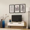 купить Тумба напольная для TV Trendy Leni Stejar Safir, Alb (GTR000363) в Кишинёве 