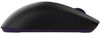 cumpără Mouse Dark Project Novus Pro Wireless , Blackberry în Chișinău 