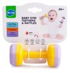 купить Погремушка Hola Toys HA7900 Set de zornăitoare Baby Gym (9 modele) в Кишинёве 