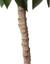 cumpără Plantă artificială Deco Arbore de Ficus 200 în Chișinău 