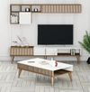 купить Стенка Trendy Milano-481 (комплект мебели для гостиной) (GTR001301) в Кишинёве 