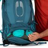 cumpără Rucsac turistic Osprey Atmos AG 65 venturi blue L/XL în Chișinău 