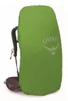 cumpără Rucsac turistic Osprey Kyte 58 Elderberry Purple WM/L în Chișinău 