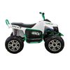 cumpără Mașină electrică pentru copii Golden Baby S621 ATV alb, GB2319 în Chișinău 