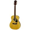 cumpără Chitară Aria AFN-15-58 N Natural Acustica în Chișinău 