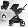 cumpără Сărucior pentru copii Coccolle Hapi Soley H2003 Carucior 3/1, Jet Black în Chișinău 