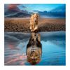 cumpără Puzzle Clementoni Puzzle 300 Super Noli Self Reflection (21719) în Chișinău 