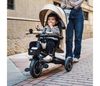 купить Велосипед-коляска KinderKraft Spinstep 2 Plus Beige (KRSPST02BEGPL00) в Кишинёве 