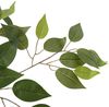 cumpără Plantă artificială Deco Arbore de Ficus 200 în Chișinău 
