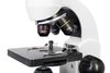 cumpără Microscop Levenhuk Rainbow 50L Moonstone în Chișinău 