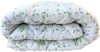 cumpără Textile de casă Somnart 025510 Set Aloe Vera, 2 perne 50x70cm + pilota microfibra 200x220cm (250gr) în Chișinău 