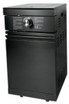 купить Мангал ArtFlame B-ZH601-1-BG pe gaz din otel inoxidabil в Кишинёве 