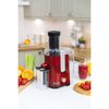 купить Соковыжималка центробежная Russell Hobbs 24740-56 Desire в Кишинёве 