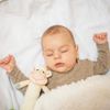 купить Погремушка BabyOno 0606 Zuruitoare SWEET LAMBIE в Кишинёве 