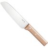 купить Нож Opinel 001819 Santoku Nr. 119 в Кишинёве 