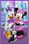 купить Головоломка Trefl 34889 Puzzles 3x80 Minnie and friends, Disney Minnie в Кишинёве 