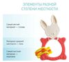 cumpără Iinel dentiție Roxy Kids RBT-001R BUNNY, коралловый în Chișinău 