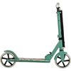 купить Самокат Moni Flurry Green в Кишинёве 