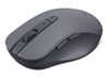 cumpără Mouse Lenovo WL310 Bluetooth Silent (GY51Q65621) în Chișinău 