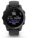 купить Смарт часы Garmin Fenix E – 47 mm, Slate grey steel with Black silicone band (010-03025-01) в Кишинёве 