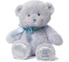 cumpără Jucărie de pluș Baby Gund 6055514 My 1st Teddy Blue 38cm în Chișinău 