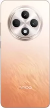 cumpără Smartphone OPPO Reno 12 FS 5G 12/512GB Amber Orange în Chișinău 