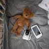 купить Видеоняня VAVA VA-IH009 Baby Monitor(2 camera+1phone) в Кишинёве 