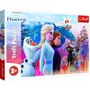 купить Головоломка Trefl 14298 Puzzles - 24 Maxi - Magical journey / Disney Frozen 2 в Кишинёве 