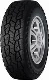 cumpără Anvelopă Haida 245/65 R17 111/108S 8PR LT HD828 în Chișinău 