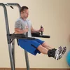 купить Турник inSPORTline 9660 Aparat Body-Solid FCD Power Tower IN18374 (box1,2) в Кишинёве 