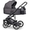 купить Детская коляска Riko Carucior 2in1 Trex antracite в Кишинёве 