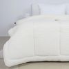 cumpără Textile de casă Relaxe Home 024548 Plapuma TEP TEDDY 200x210cm (350g/m²) Milky în Chișinău 